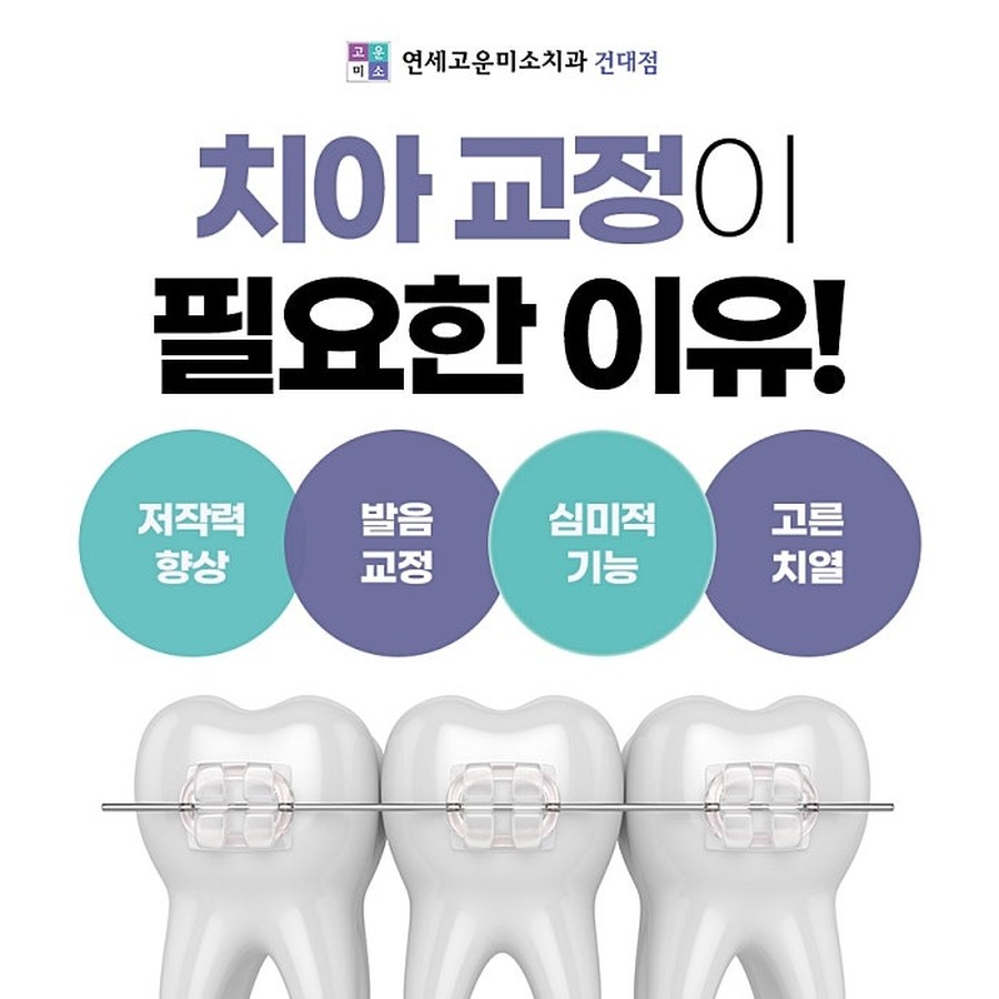 치아교정이 필요한 이유 4분류 도해