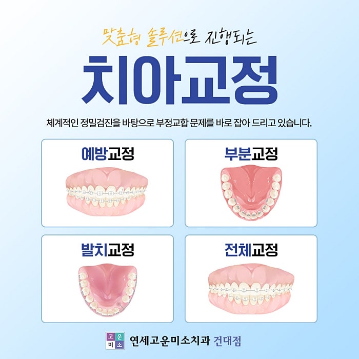 교정 유형 카드
