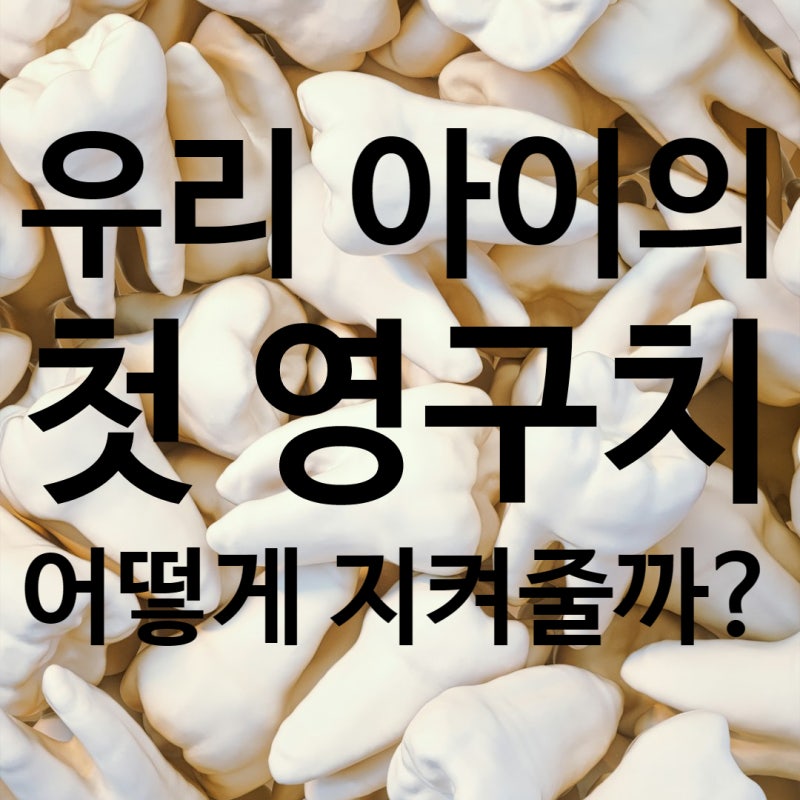 첫 영구치 카드